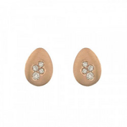 Pendientes Viveza