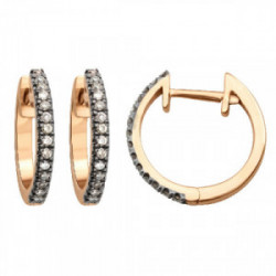 Earrings Hoops