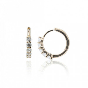 Earrings Hoops