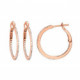 Earrings Hoops