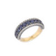 Anillo D'Art