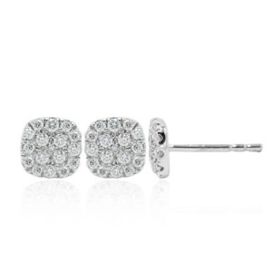 Pendientes Viveza