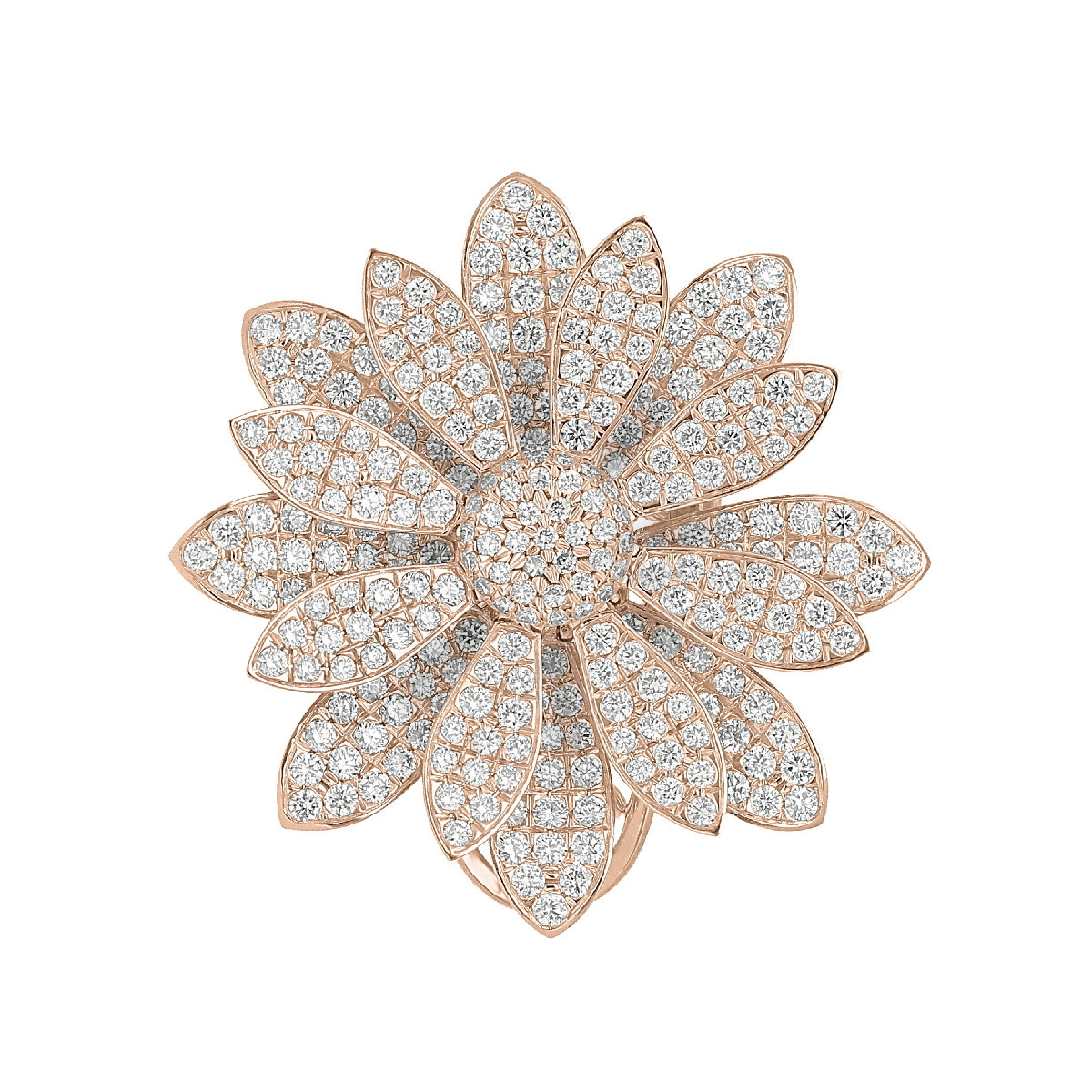 Anillo Lozania