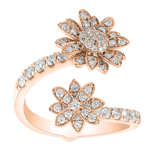 Anillo Lozania