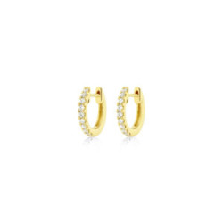 Earrings Hoops