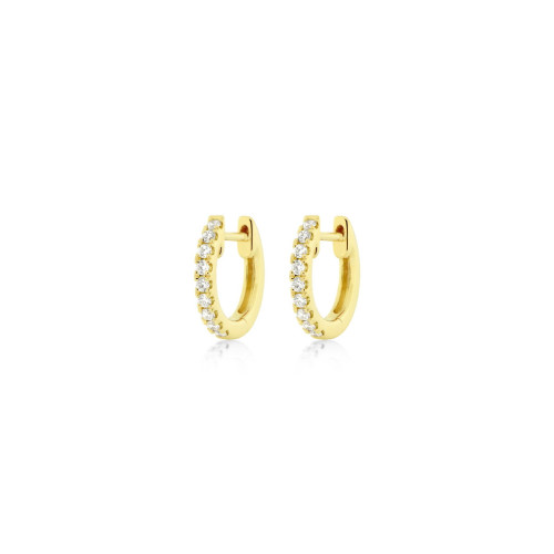 Earrings Hoops