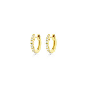 Earrings Hoops