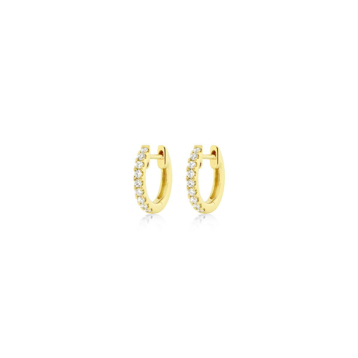 Earrings Hoops