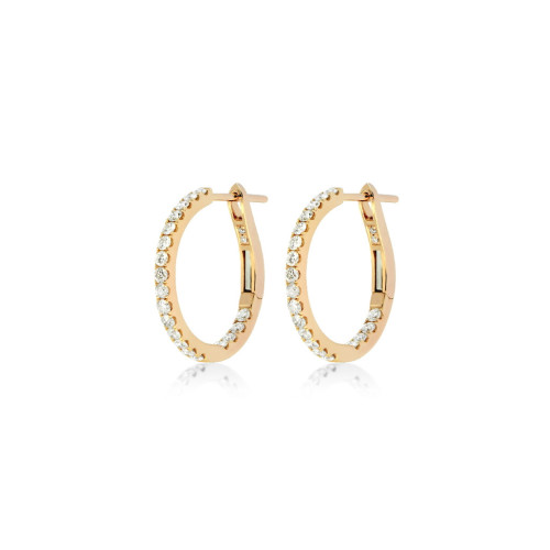 Earrings Hoops