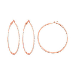 Earrings Hoops