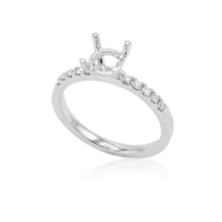 Ring Semimount