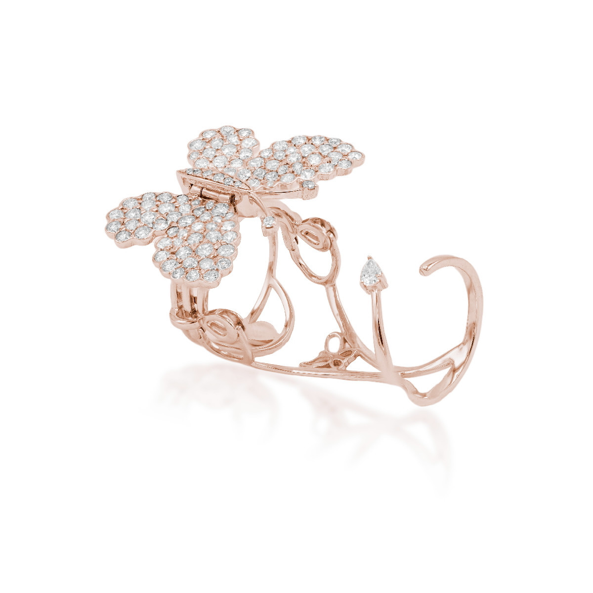 Anillo Mariposa