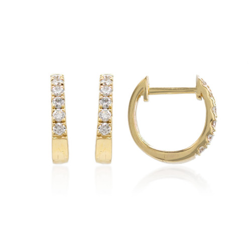 Earrings Hoops