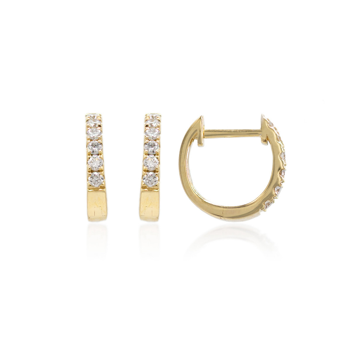 Earrings Hoops