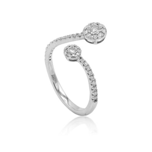 Anillo Viveza
