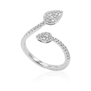 Anillo Viveza