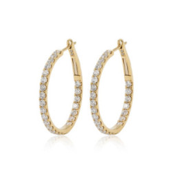 Earrings Hoops