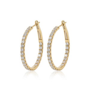 Earrings Hoops