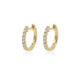 Earrings Hoops