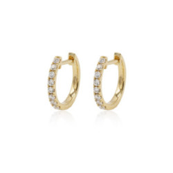 Earrings Hoops