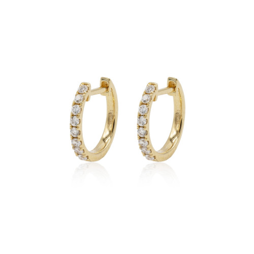 Earrings Hoops