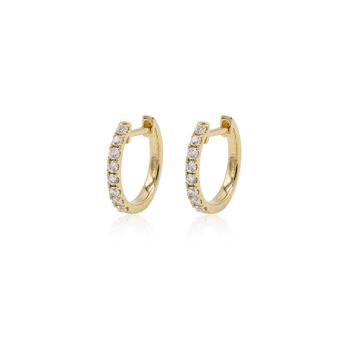 Earrings Hoops