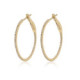 Hoops earrings