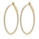 Hoops earrings