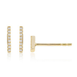 Gold and diamonds Earrings