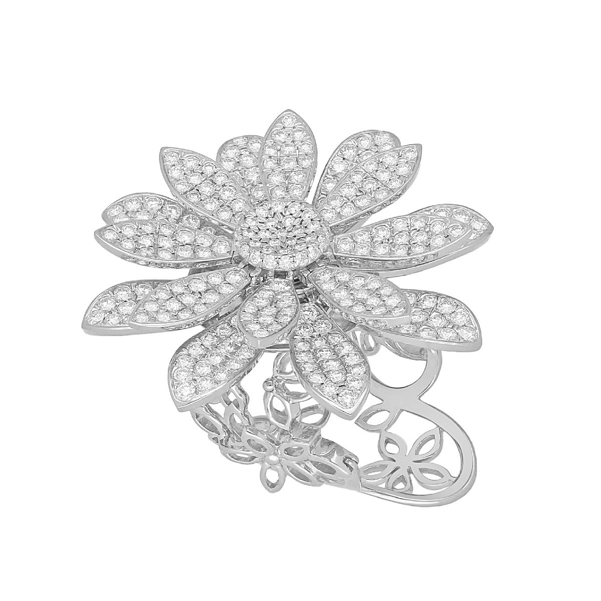 Anillo Lozania