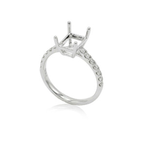 Semimount ring