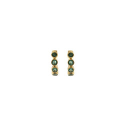 Earrings Carisma