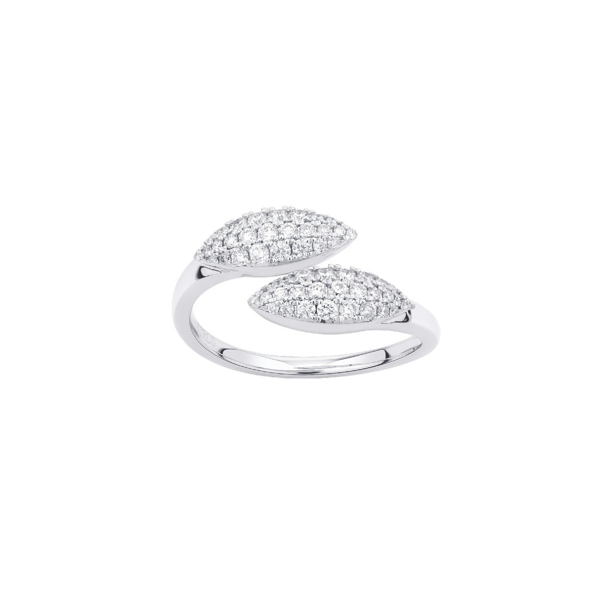 Anillo Viveza