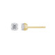 Pendientes Siena