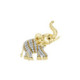 Diamond and gold Charm