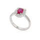 Anillo Regal