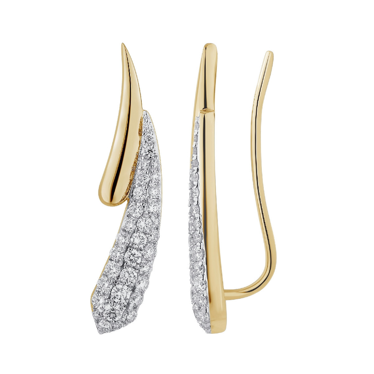 Viveza earrings