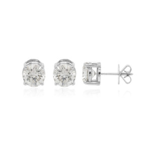 Fusion & Solitaire Earrings