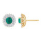Regal earrings