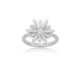 Ring Sunshine
