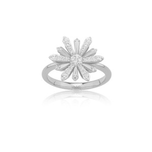 Ring Sunshine