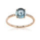 Anillo Filicia Anillo Filicia