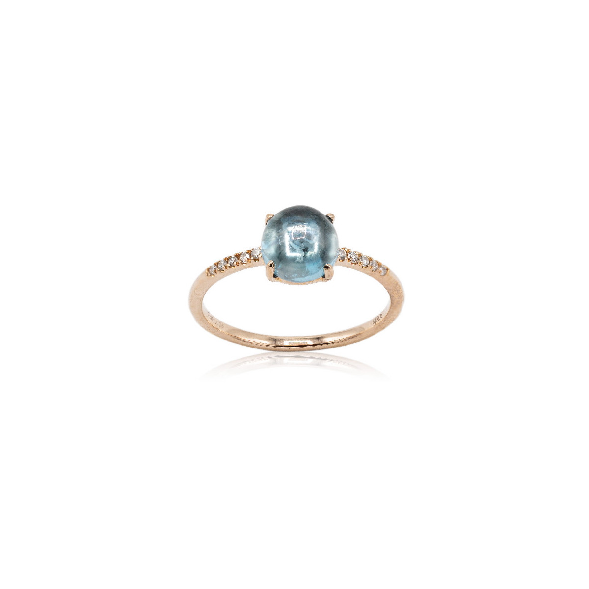 Anillo Filicia Anillo Filicia
