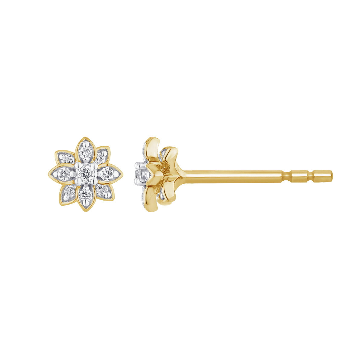 Pendientes Lozania