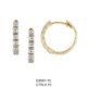 Hoops Earrings