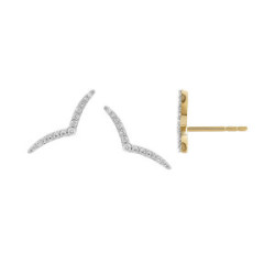 Gold and Diamonds Earrings