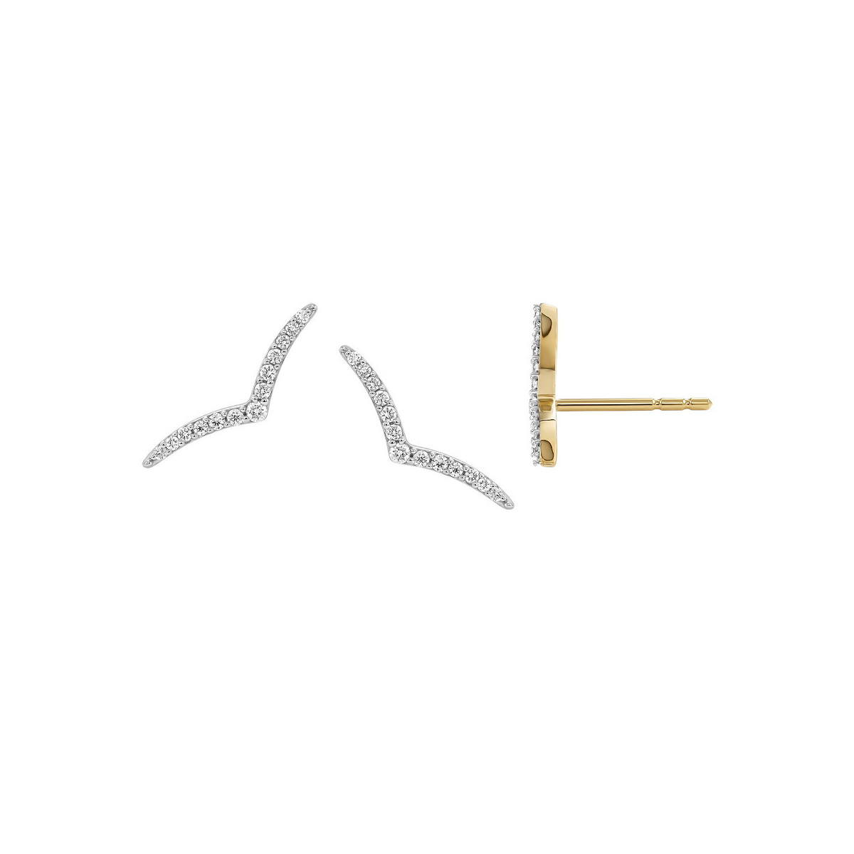 Gold and Diamonds Earrings